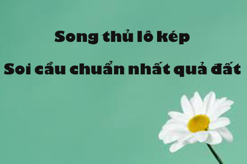 song thu lo kep